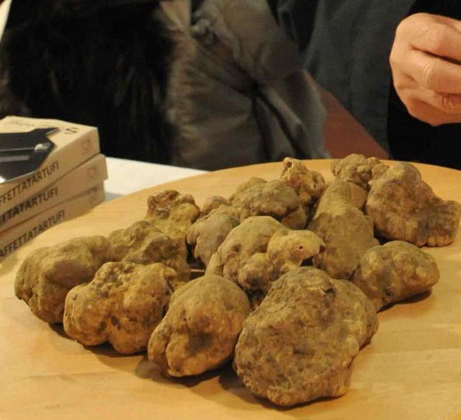 Castelfranco e tartufi