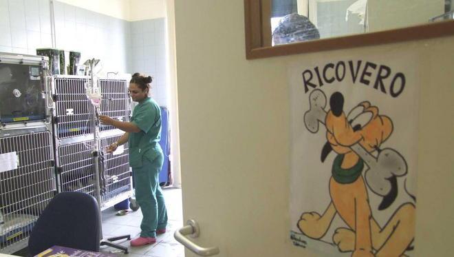 Prof sotto accusa a veterinaria Boccia troppo, esami da incubo 