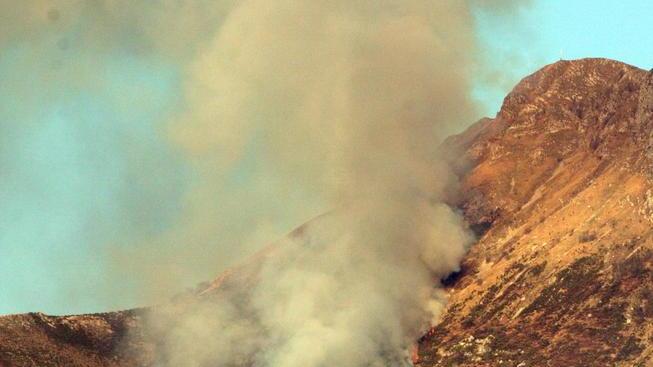 Il fuoco distrugge 30 ettari di bosco