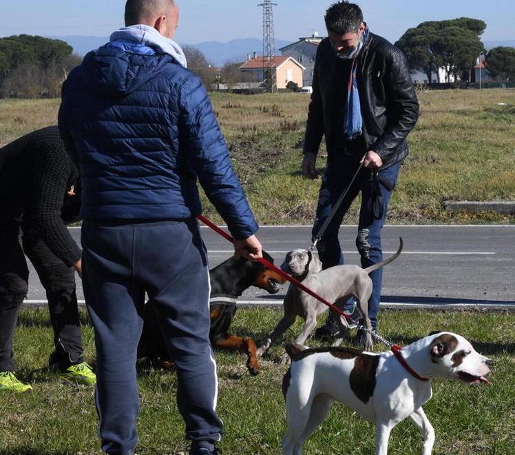 Protezione civile, Croce oro protagonista