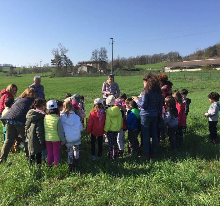 Piantati oltre 1900 alberi per i bimbi nati nel 2018 