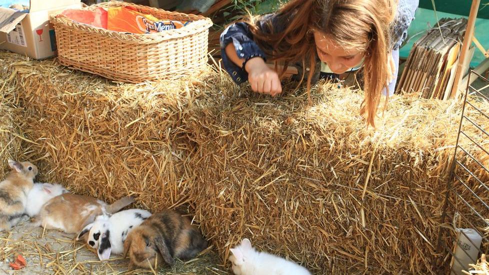 Torna la fiera “Piante e animali perduti”
