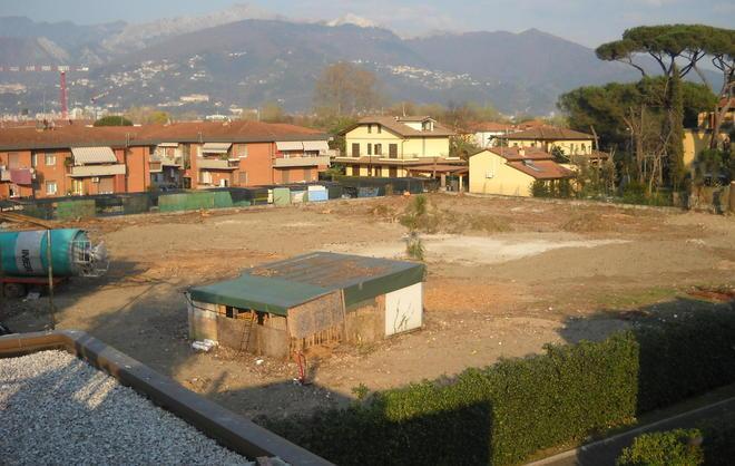 Pineta abbattuta a Bondano si muove la Guardia forestale