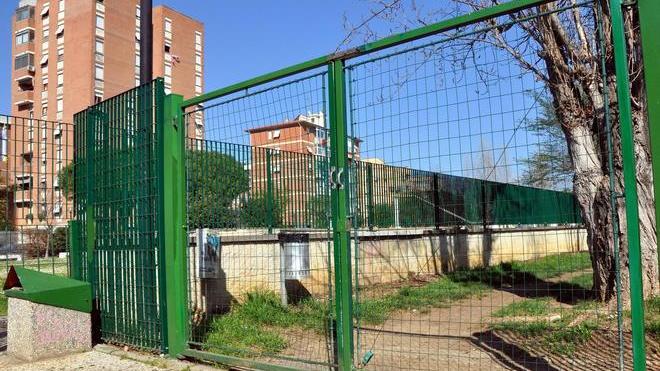 Coppia di ragazzi azzannata dal pitbull