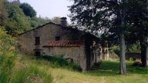 Stanziati 2,2 milioni per il piano rurale