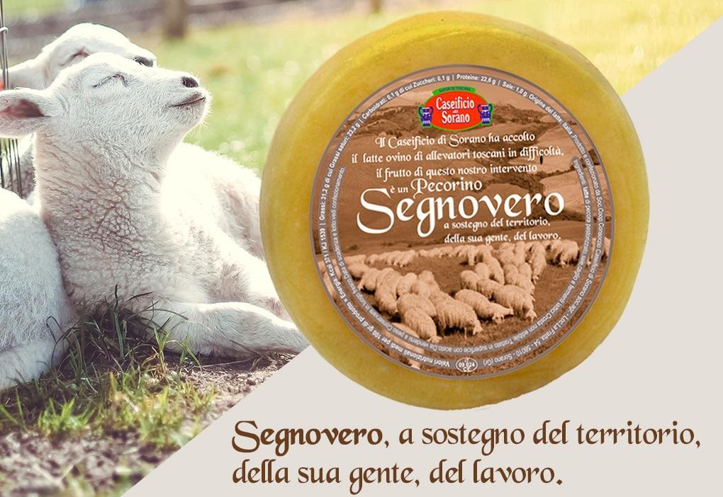 Il Caseificio riscatta i pastori, nasce il pecorino Segnovero 