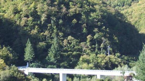 Ponte della Tambura chiuso a fasce orarie per rilevazioni e saggi