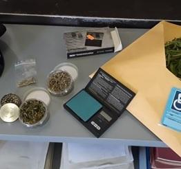 Coltivava marijuana in casa, denunciato dai carabinieri 