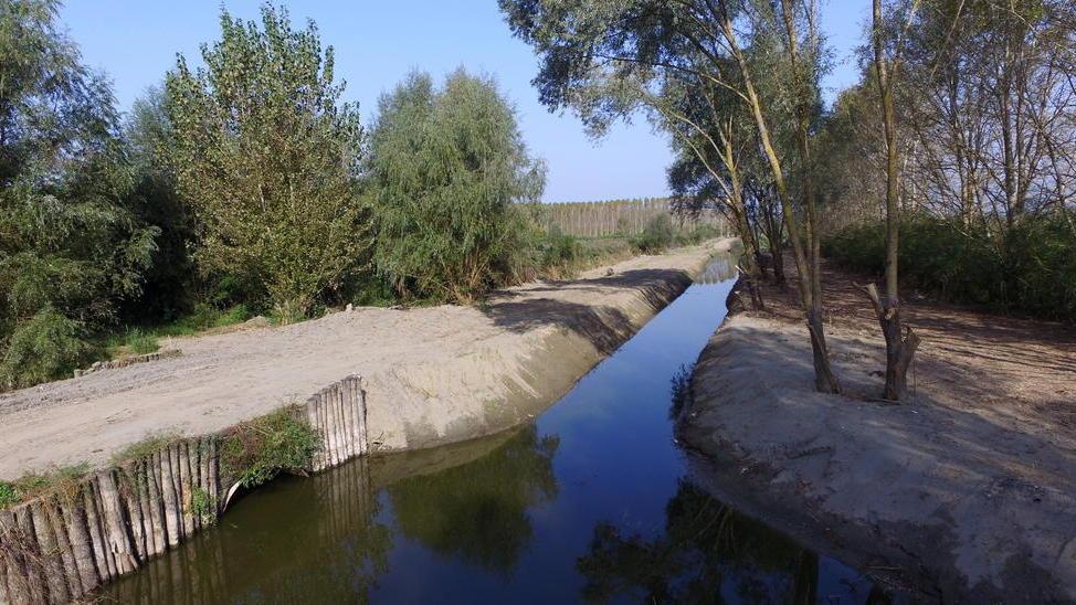 Dopo i lavori cresce la portata dell’acqua nei canali del Padule