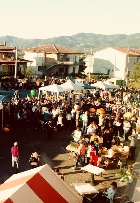 Oggi zucche in gara a caccia del primato