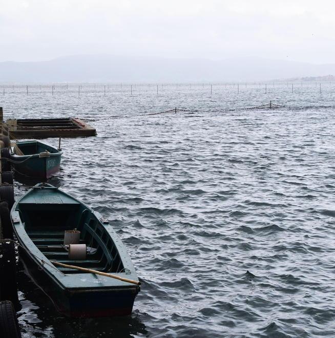 Stop alla caccia in laguna la Lipu è soddisfatta «Una garanzia per tutti»
