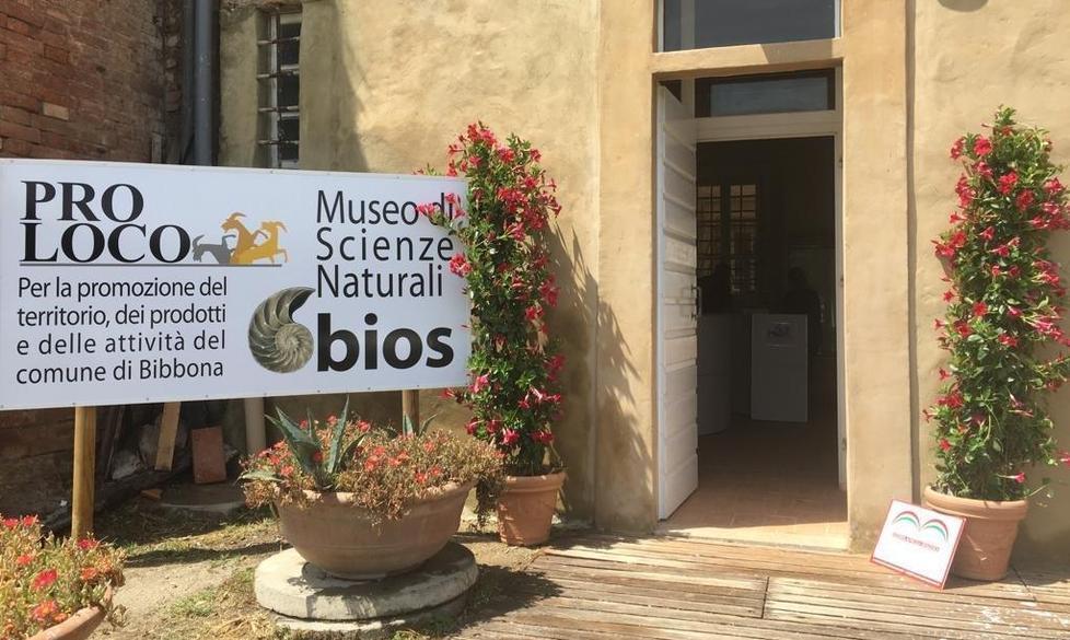 Rubano statua durante una conferenza È già il secondo furto