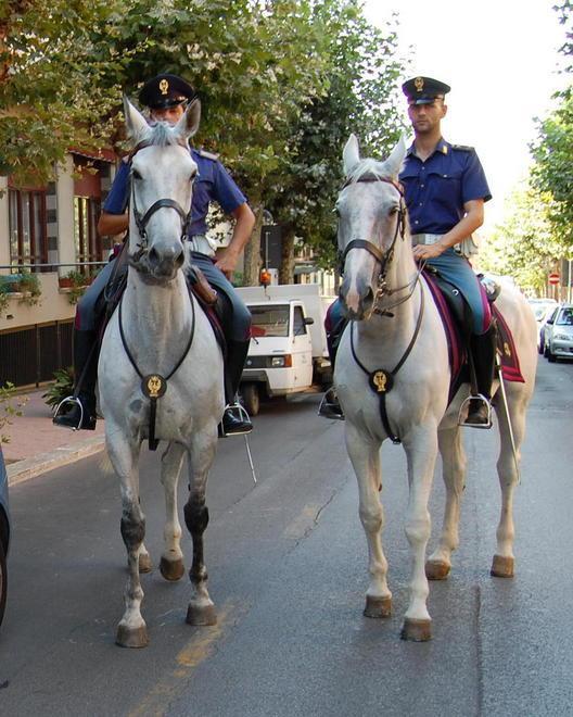 Agenti a cavallo e vigili in stazione 