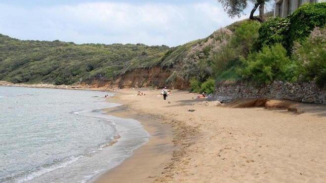Al via la pulizia della spiaggia di Baratti