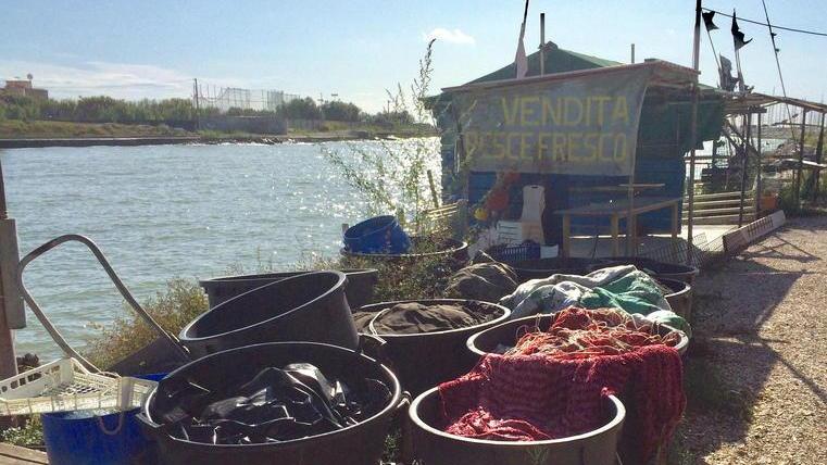 Ormeggi alla foce affidati all’Arci. E tra i pescatori c’è chi se ne va