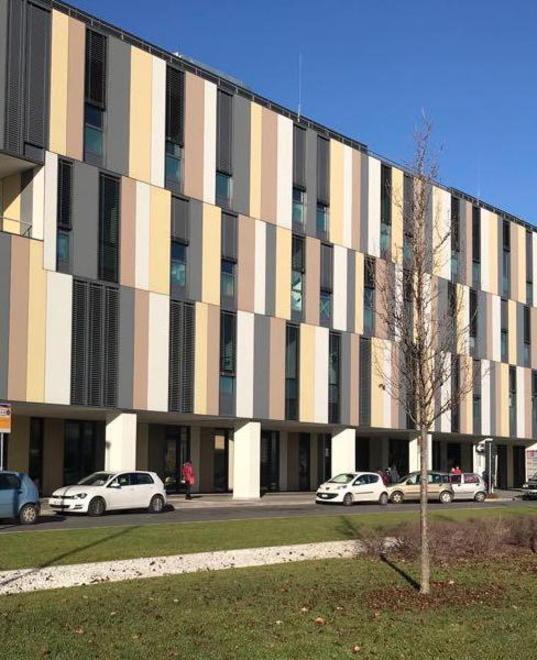 La procura apre un fascicolo sul profilattico nella mela cotta 