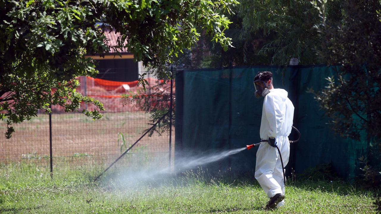 Negato dall'Asl l'intervento di disinfestazione nel giardino dell'asilo del Penzale