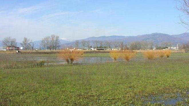 «Il digestore distruggerà le Pantanelle»