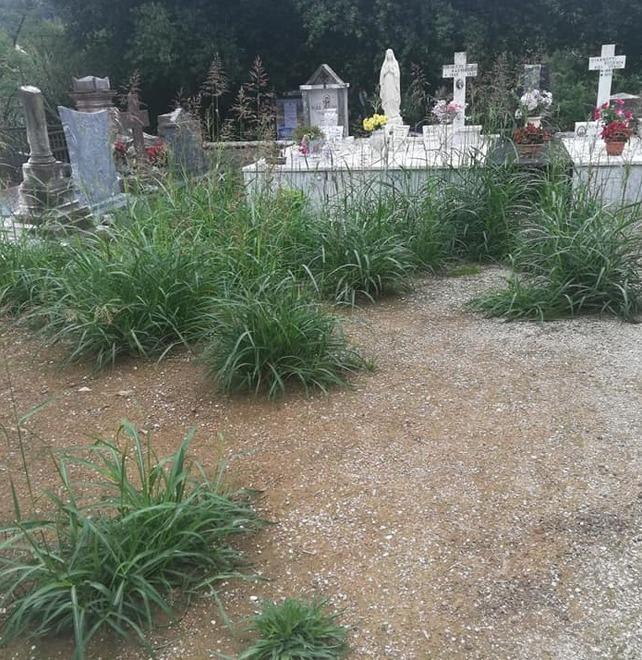 L’erba cresce alta dentro al cimitero di Nocchi