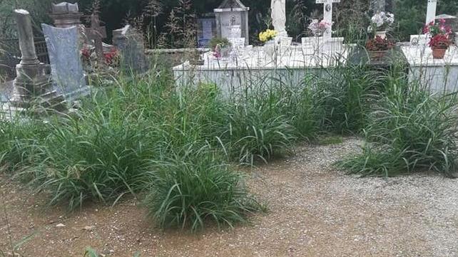 L’erba cresce alta dentro al cimitero di Nocchi