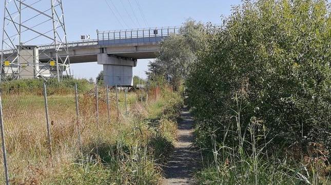 Erba incolta e rifiuti abbandonati nella ciclabile