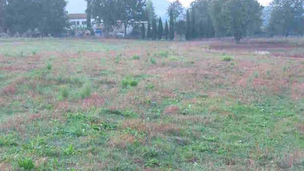 Bracconieri sparano in direzione di una casa «Potevano colpirmi»