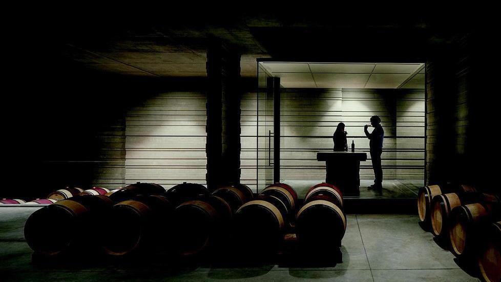 Masseto, finita la vendemmia successo delle ultime annate