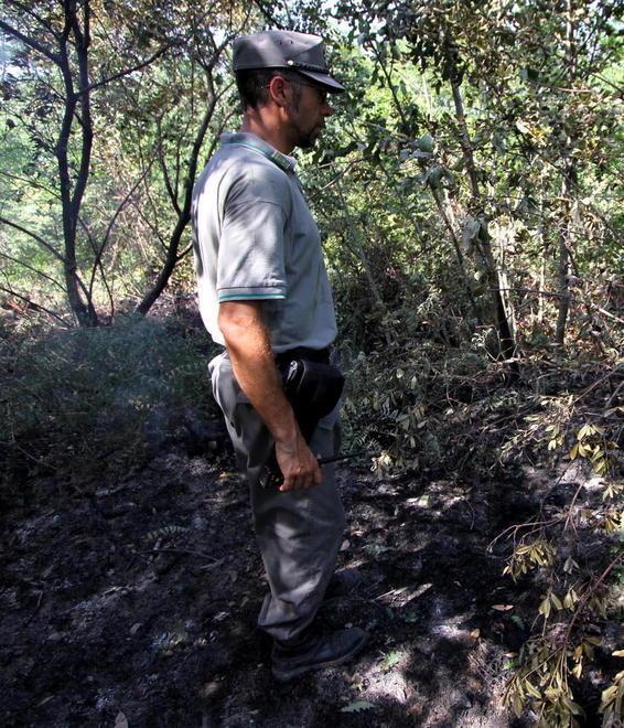Allarme incendi, maxi multe per chi non rispetta le regole 