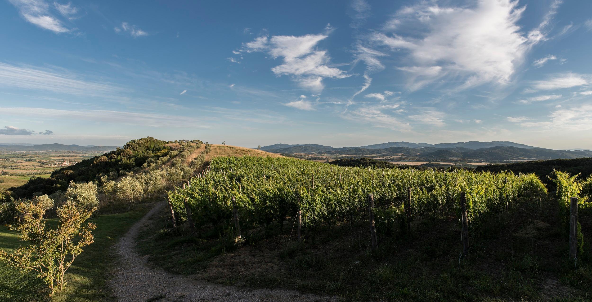 In bici in giro per la Maremma con la guida delle nuove mappe 