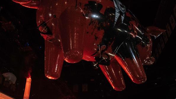 Roger Waters militante del rock fra nostalgia, politica e protesta