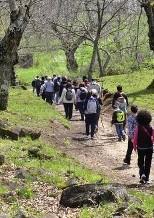 Lunghe passeggiate immerse nella natura