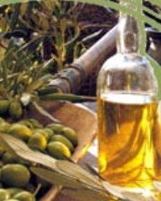 Un olio di Carmignano tra i “magnifici” toscani 