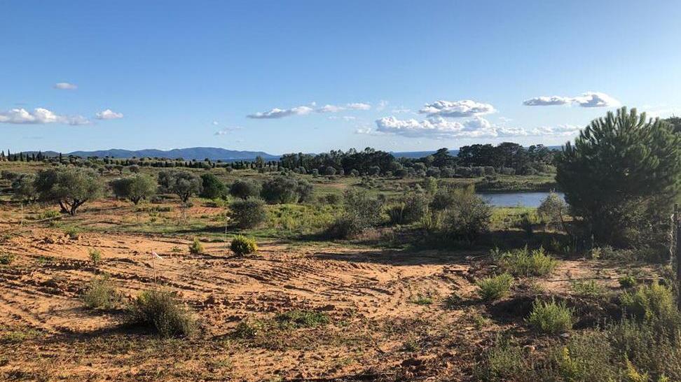 Campo da golf: il re dei salumi accelera per la club house