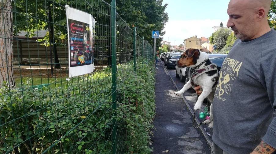 Strade pericolose, sporco e degrado: Avenza lancia un grido d’allarme