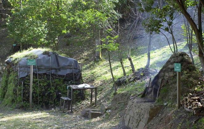 Ventimila euro per il bosco di “Poggio Neri” 