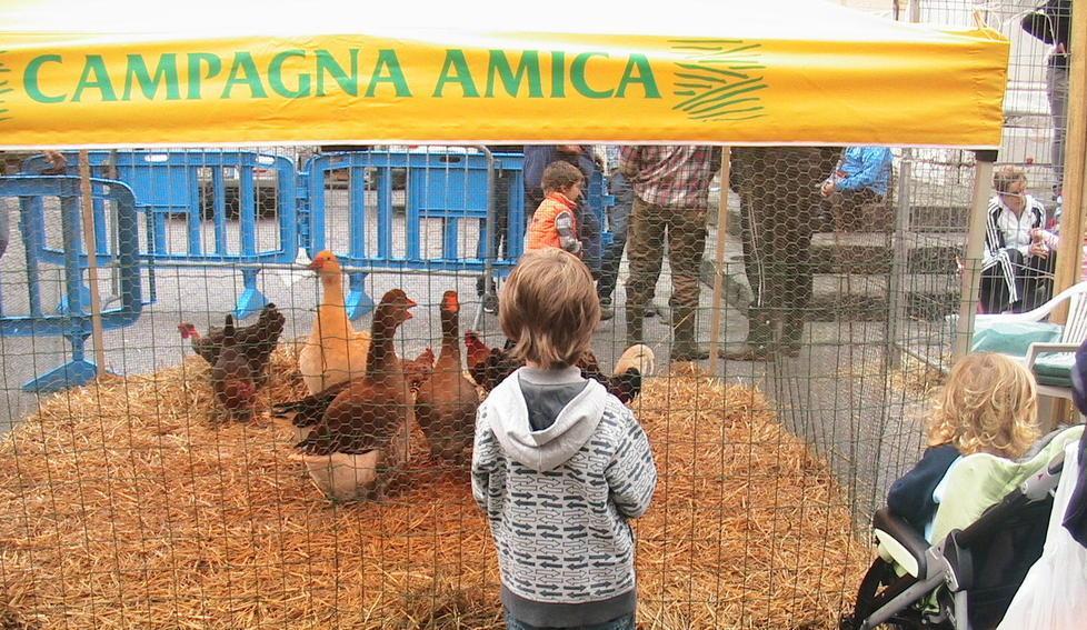 Pulcini, pecore e asinelli: la fiera di San Francesco è “Campagna amica” 