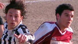 Novani e Pettinati lanciano le zebre