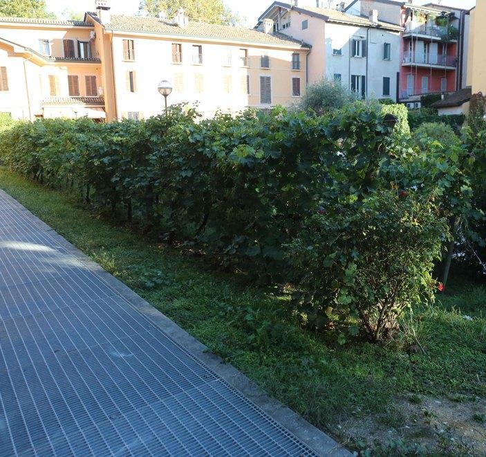Uno degli spazi più suggestivi e meno noti del centro storico