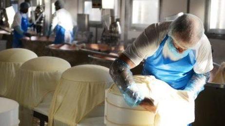 Ritorna “Caseifici Aperti” tra visite guidate nelle latterie e attrazioni turistiche