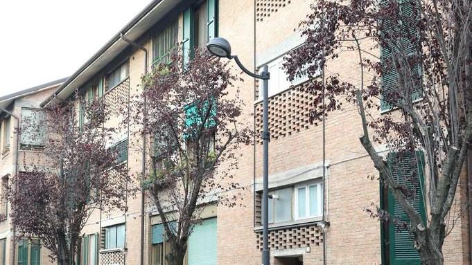I pruni di via Wybicki a Reggio Emilia
