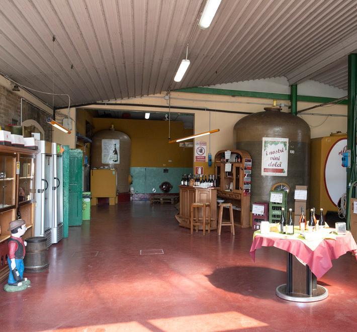 Modena, una razzia da 10mila euro alla cantina Messori 