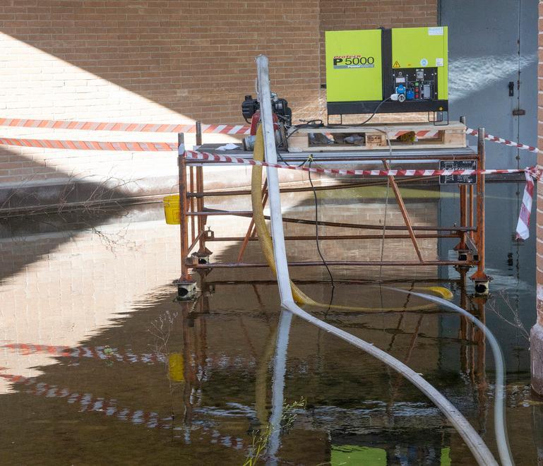 Modena, finalmente svuotata la palude delle zanzare all’ex Manfredini 