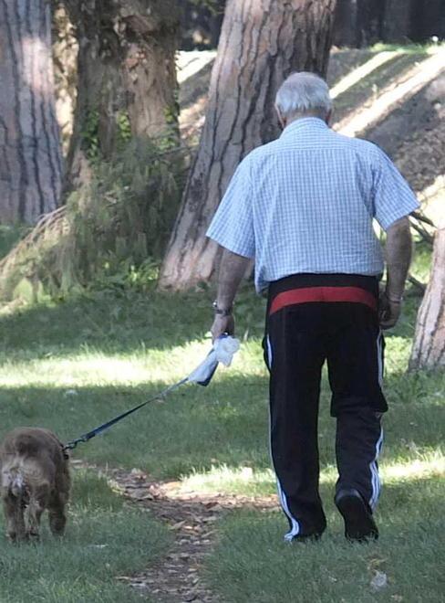 Cani sottratti ai padroni In 14 finiscono nei guai 