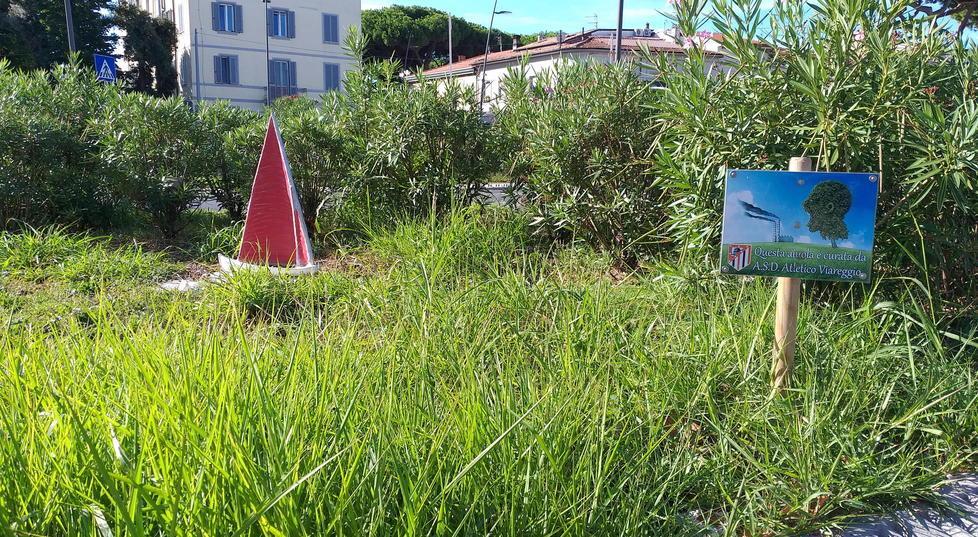Quelle aiuole “adottate” ma lasciate a loro stesse 