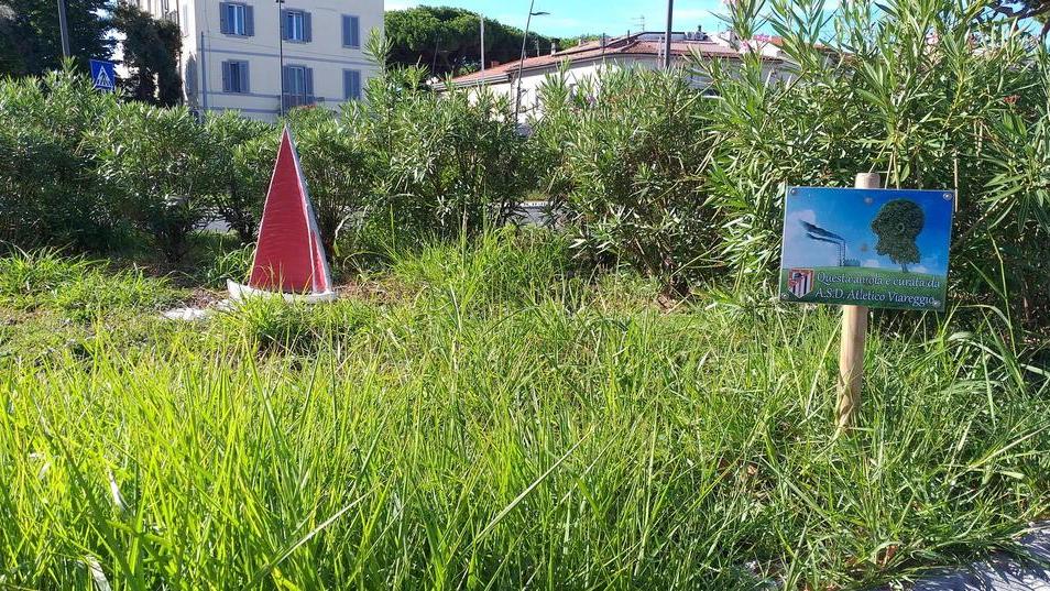Quelle aiuole “adottate” ma lasciate a loro stesse