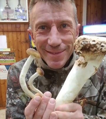 Un fungo da record «250 grammi di pioppino»