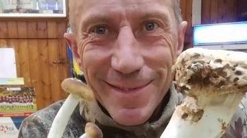 Un fungo da record «250 grammi di pioppino»