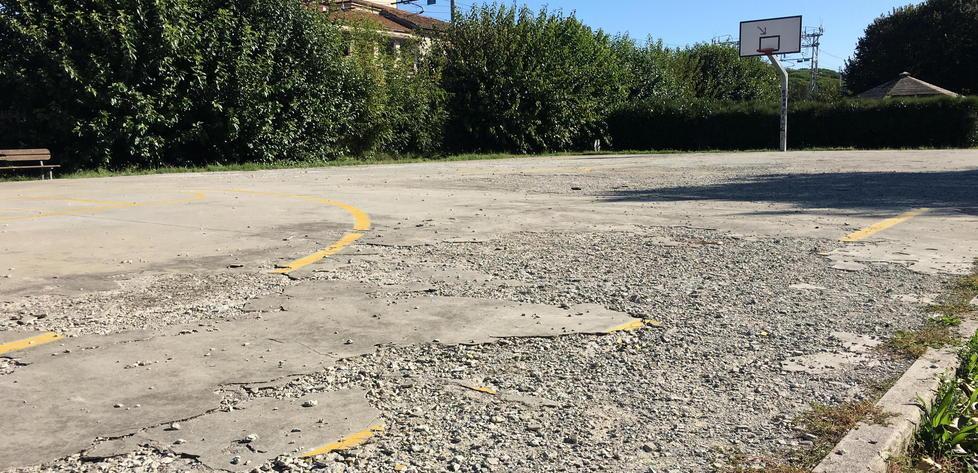 Piano da 21.000 euro per eliminare i pericoli nei parchi 