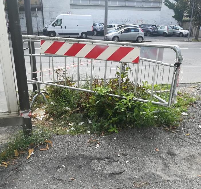 «Albero caduto un anno fa, le transenne sono ancora lì»