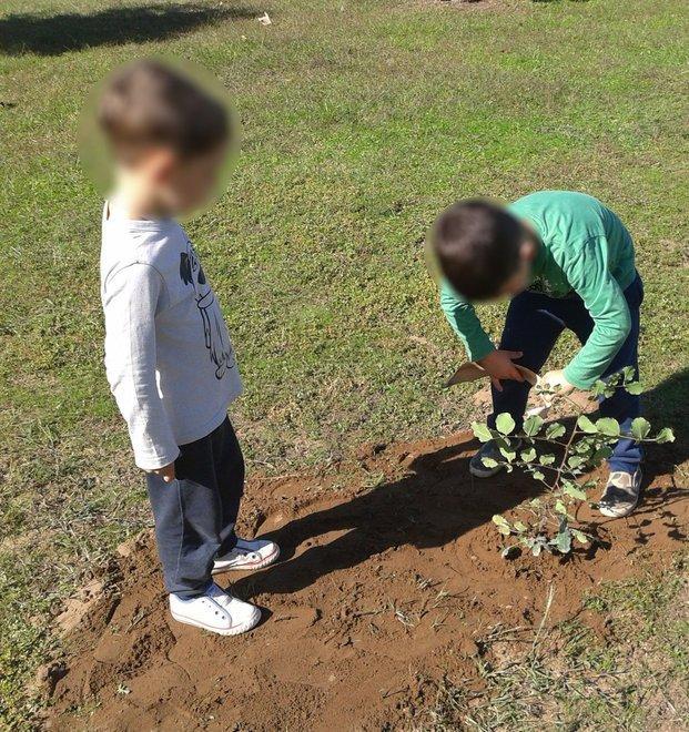 Trenta nuovi alberi per il parchetto della Migliarina 